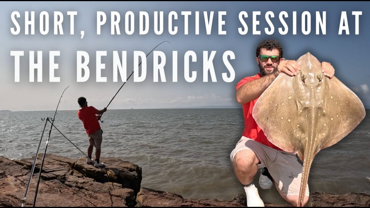Shore fishing at the Bendricks, South Wales - Short, productive session with Rays and Smooth Hounds