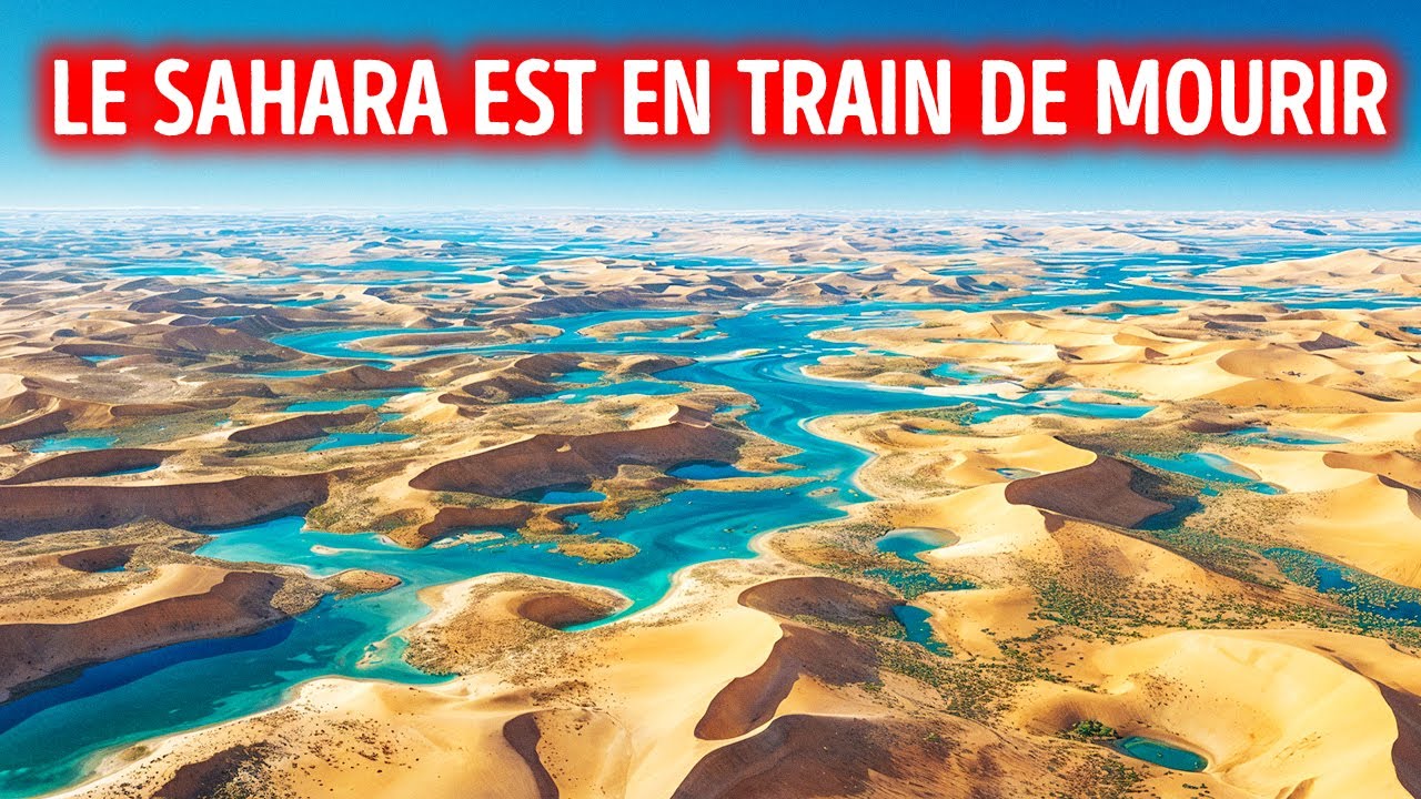 Quelque chose d'étrange se passe dans le Sahara - Et ce n'est pas bon