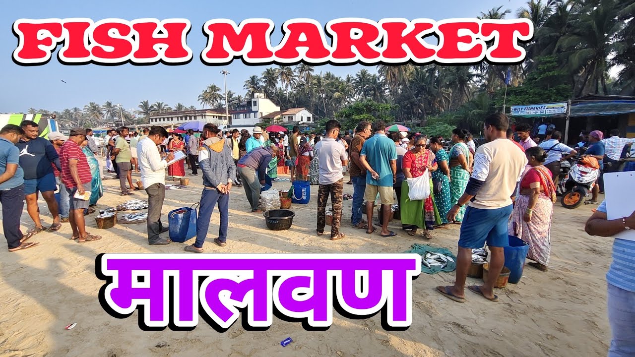 Malvan morning Fish Market | मालवण सकाळचा मासळी बाजार 