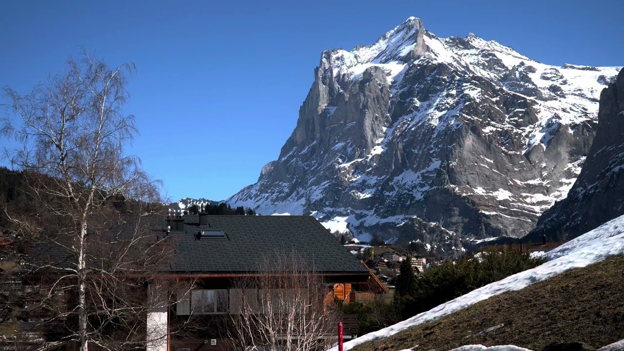 Sony HXR-NX800 HLG Test