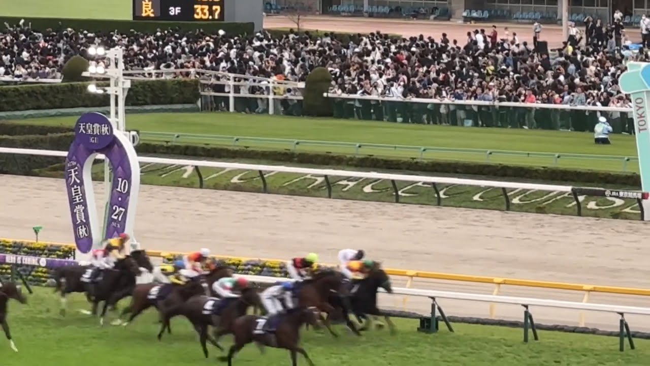 20241027 東京11R 天皇賞・秋　ファンファーレ〜レース　スマートシートより