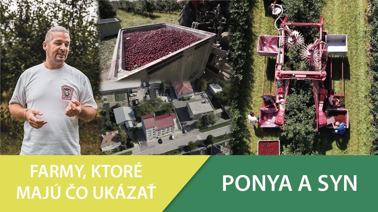 Farmy ktoré majú čo ukázať - Ponya a syn