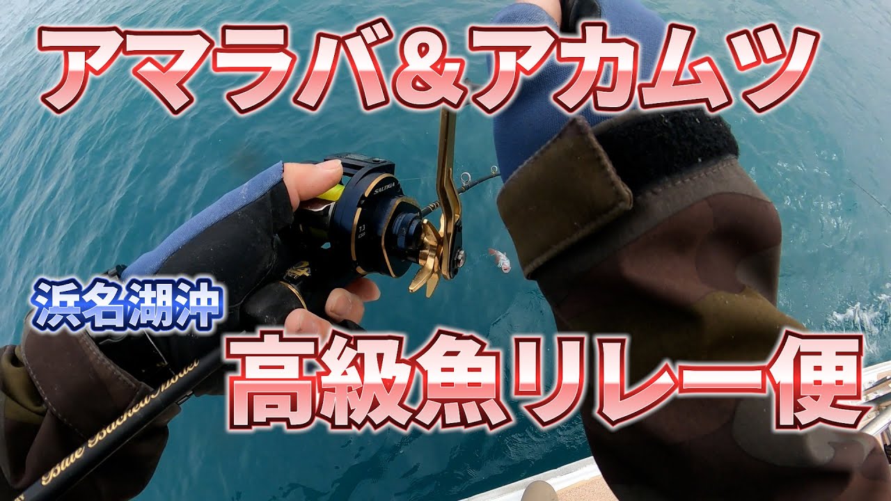 【アマラバ　アカムツ】高級魚リレー便に行ってみた！