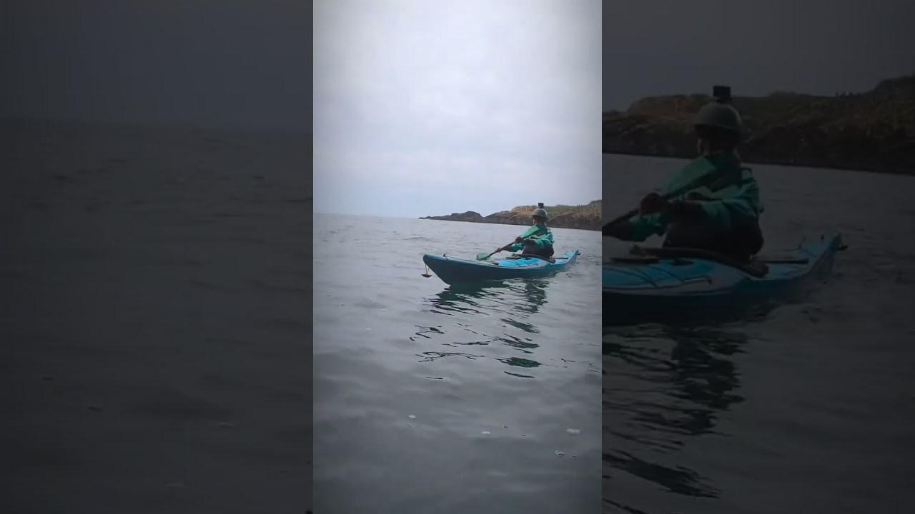 Leo by @PHSeaKayaks