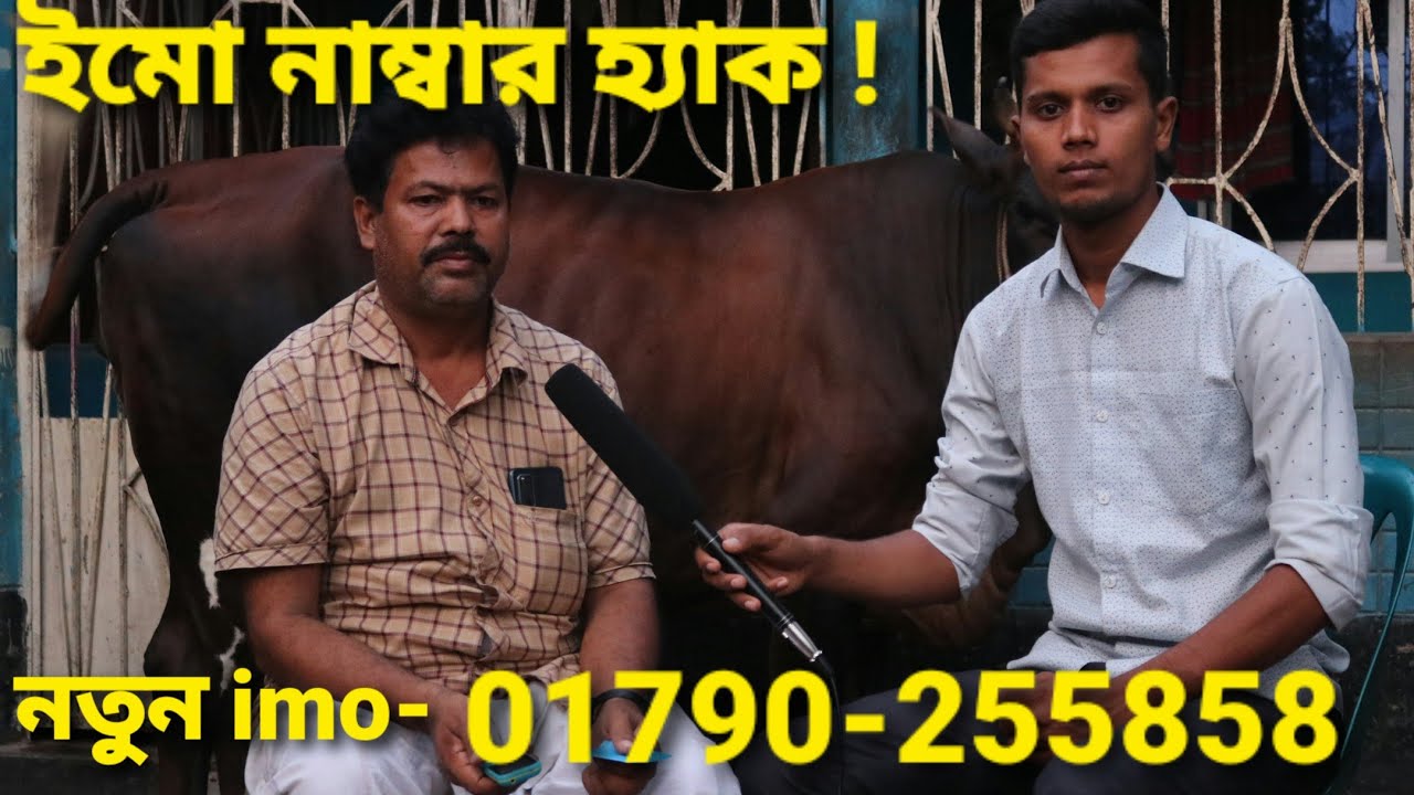 ইমো নাম্বার হ্যাক.  মোস্তাক ডেইরী ফার্ম মালিকের ইমো হ্যাক.নতুন নাম্বার ০১৭৯০-২৫৫৮৫৮(ইমো)imo