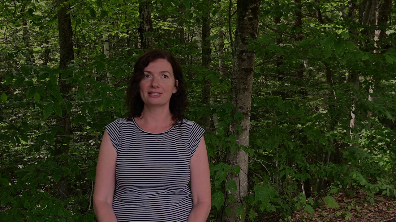 Capturing the sounds of the soil with artist Nikki Lindt