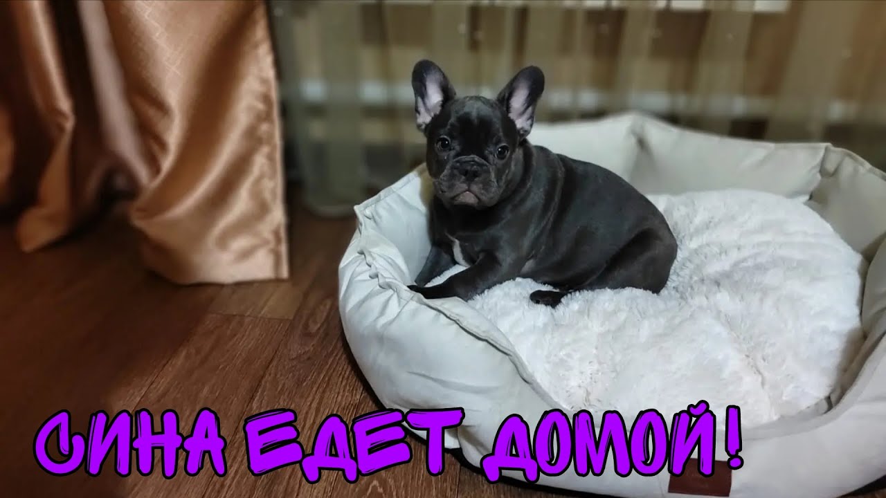 Сина едет домой! Таганрог встречай!