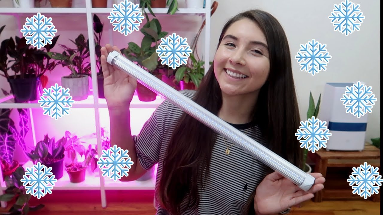 My Houseplant Grow Light Choice