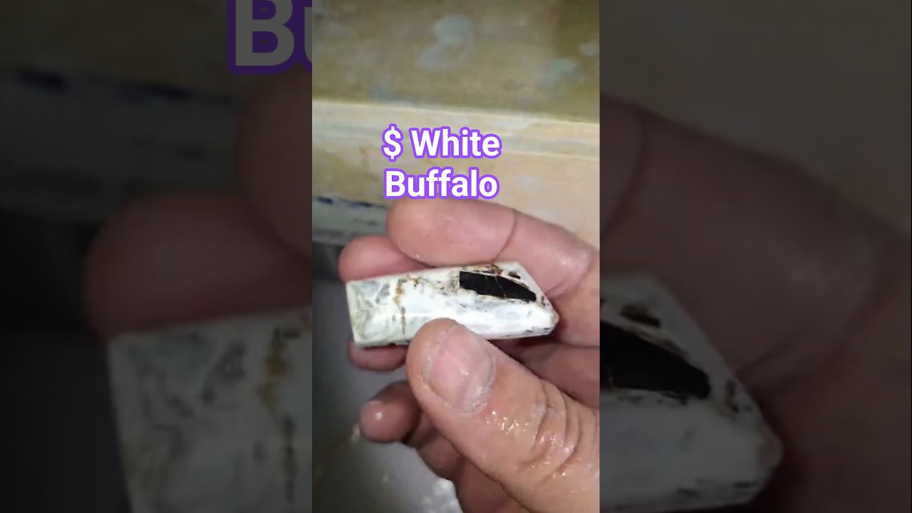 $ White Buffalo Turquoise. Actually Quartz, Calcite & Chert. #rocks #art #nature #jewelry