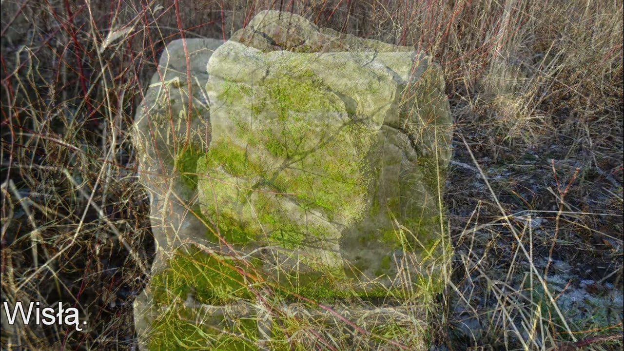 Cmentarz Żydowski. Solec n. Wisłą (mazowieckie).