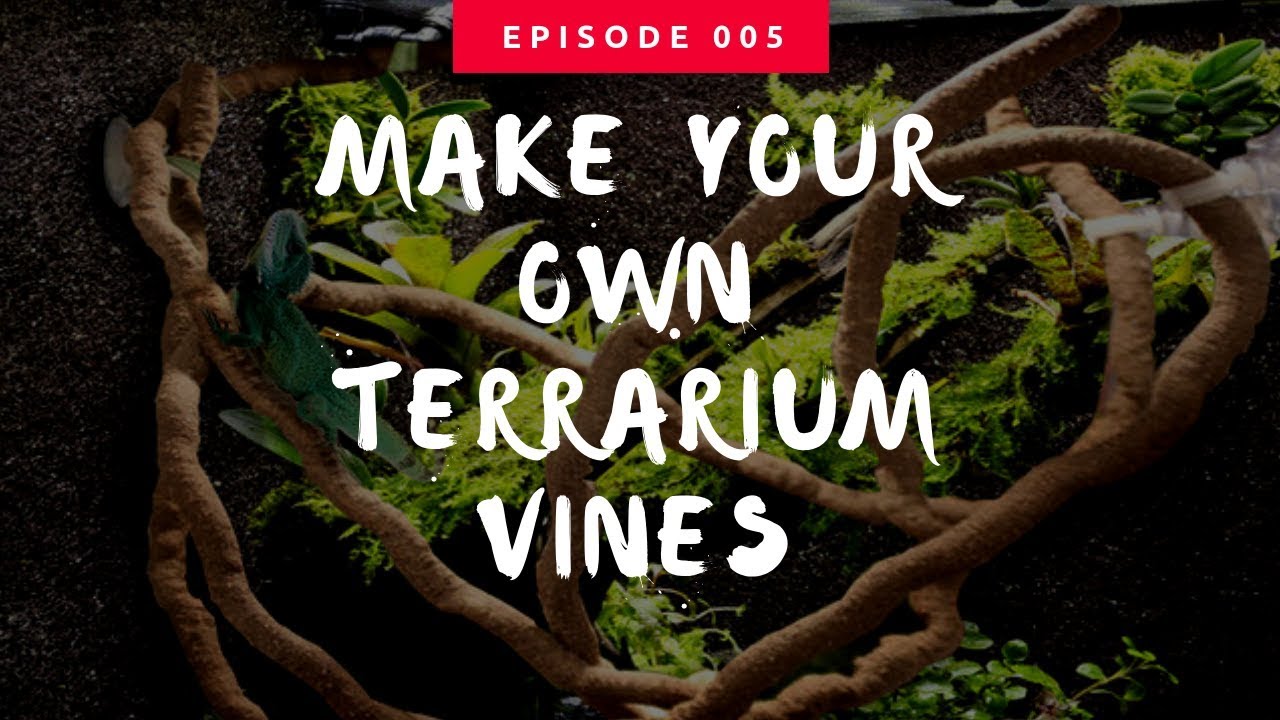 How to Make Your Own Terrarium Decor: Making Vines