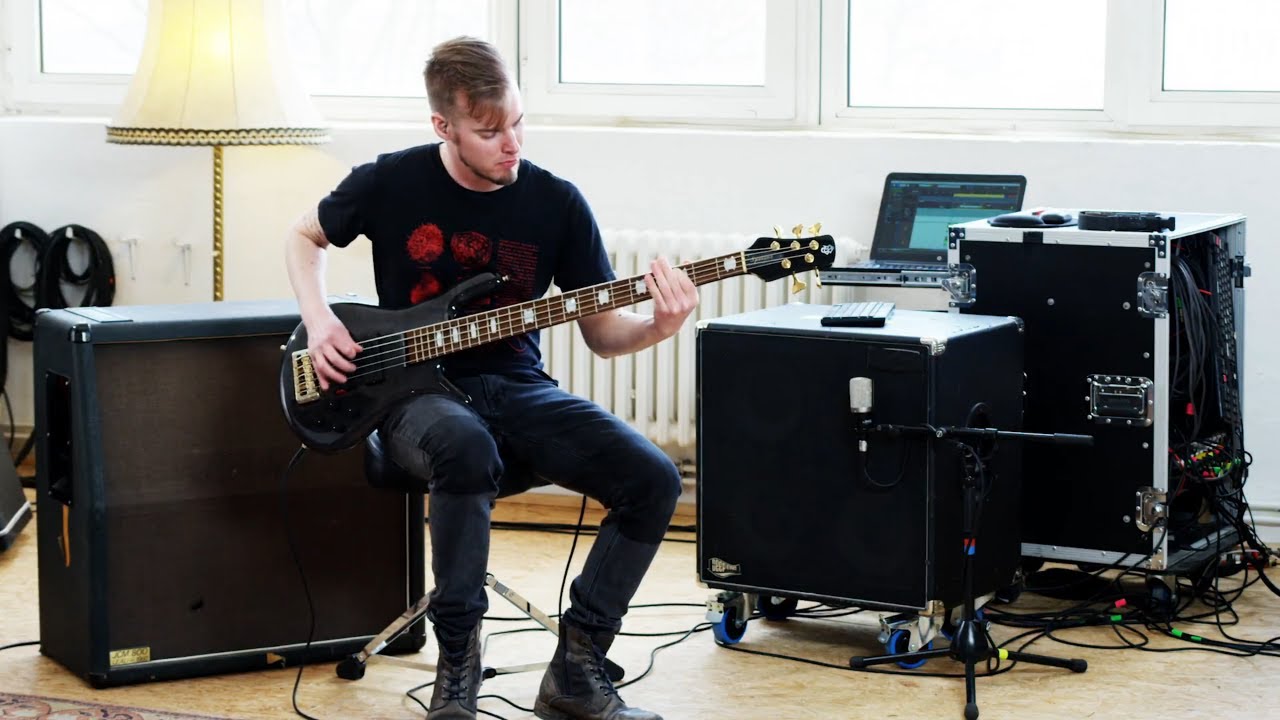 The Hirsch Effekt - 