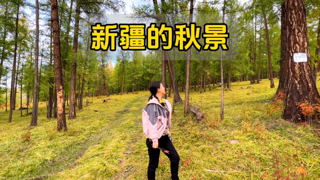 新疆旅游太火了，无奈又放弃了两个景区，没想到路边野景都这么美