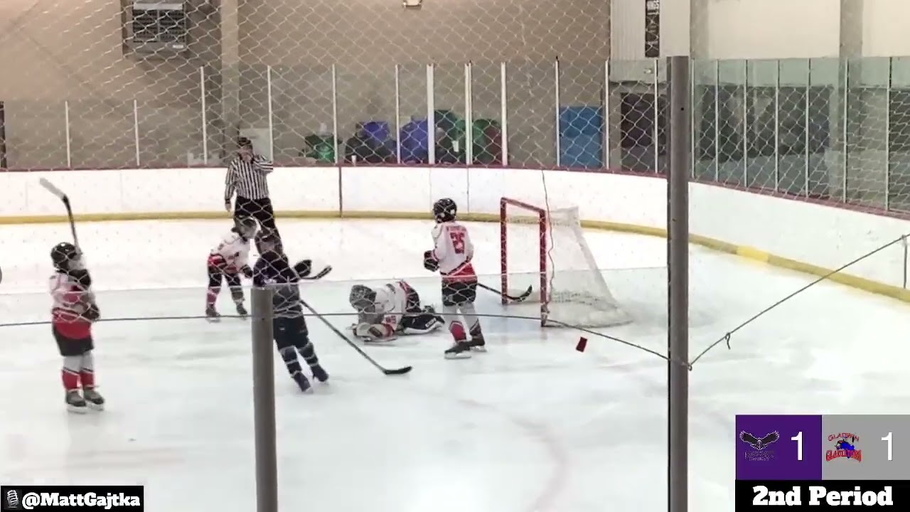 HOCKEY HIGHLIGHTS: HAWK 10U Purple at Bay City Puck o' the Irish Tournament