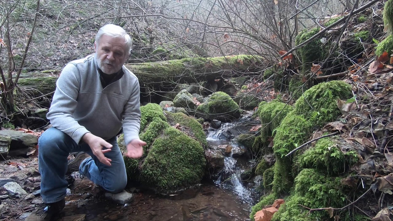 Finding Water on Your Property. Off the Grid with Karen and Grid.