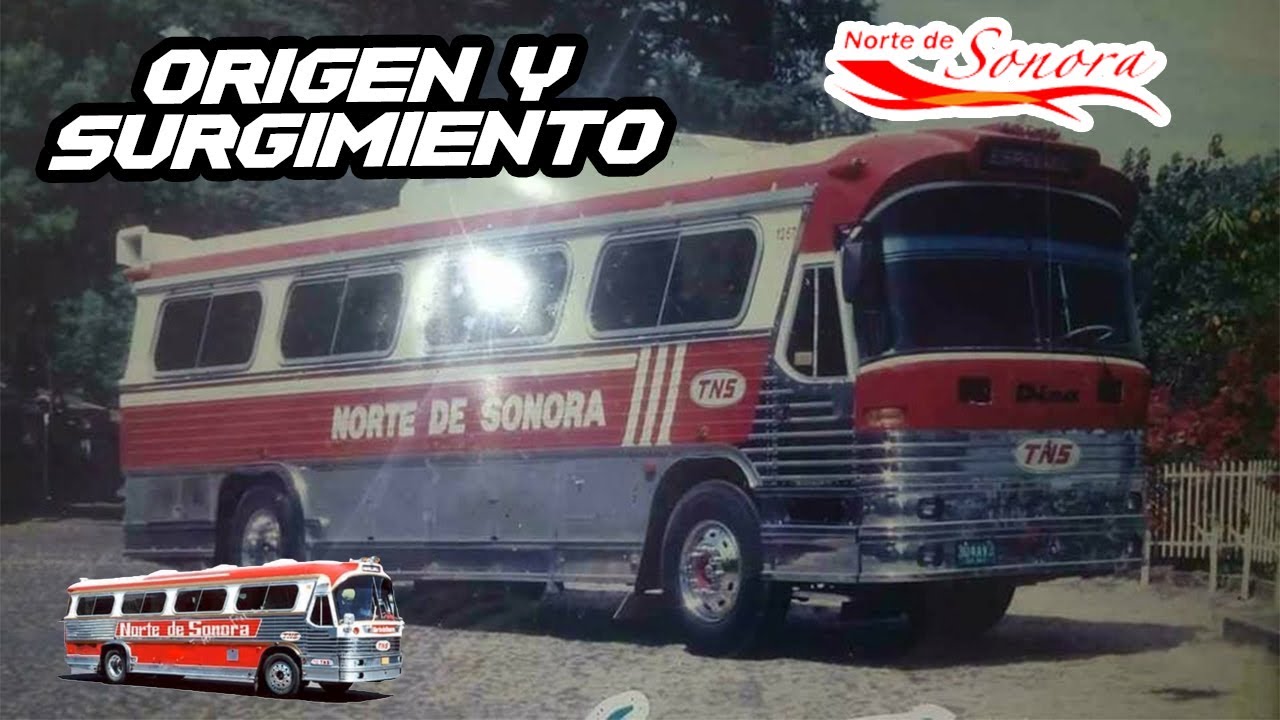 ORIGEN, SURGIMIENTO Y MOTIVO DE DESAPARICIÓN DE TRANSPORTES NORTE DE SONORA  | BUSOLERO MX.