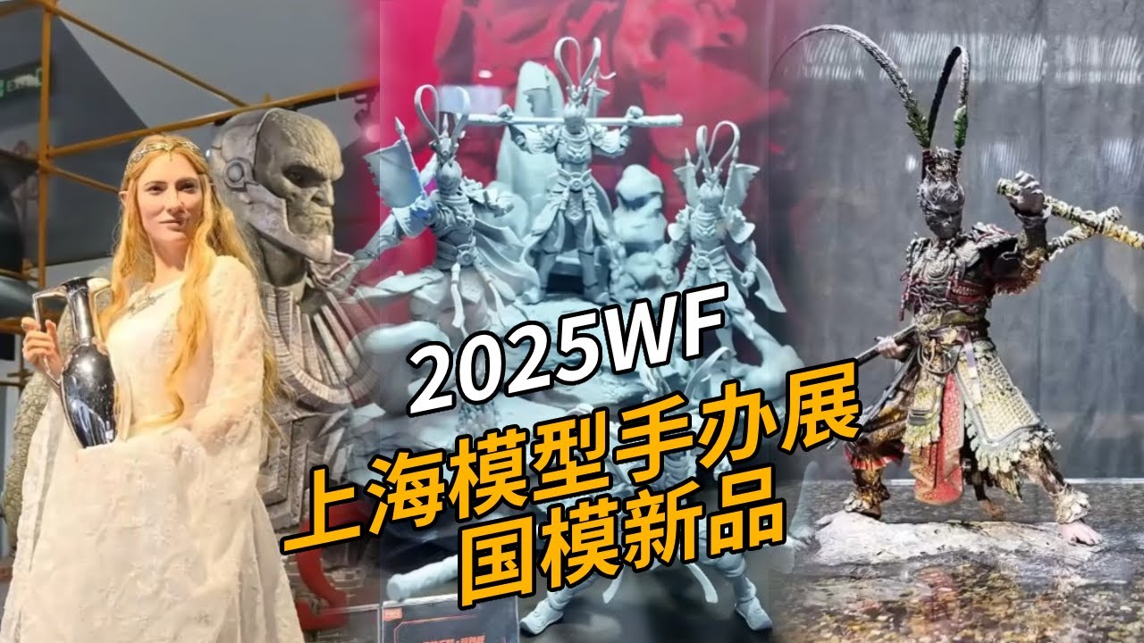 带你逛透WF展的国模品牌！今年的含“新”量实在太高！2025WF上海模型手办展 国模新品。【神田组长】