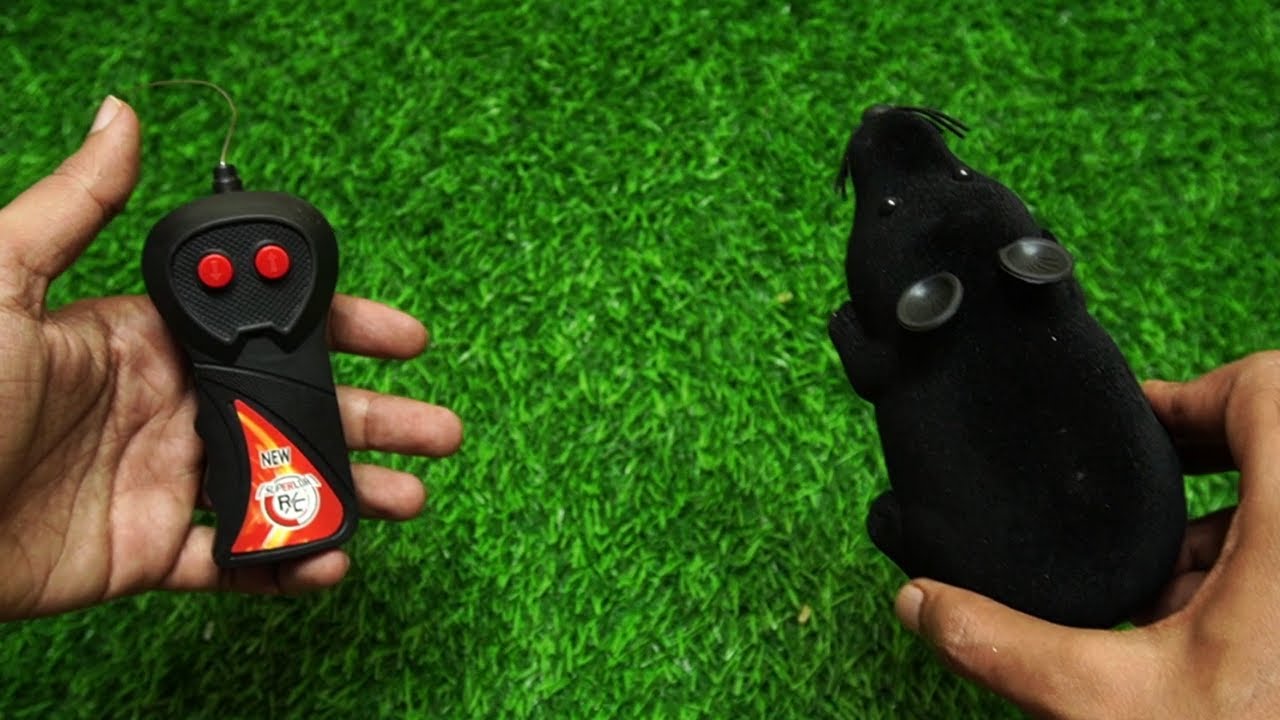 OMG OMG REMOTE CONTROL RAT - CHATPAT TV