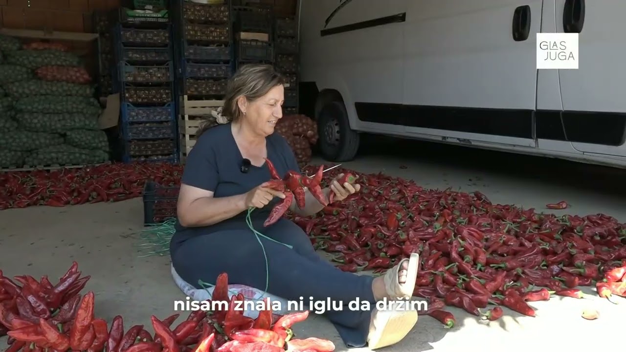 Donja Lokošnica – „Crveno selo“ i ove jeseni obasjala je jug Srbije crvenim paprikama „kozji rog“