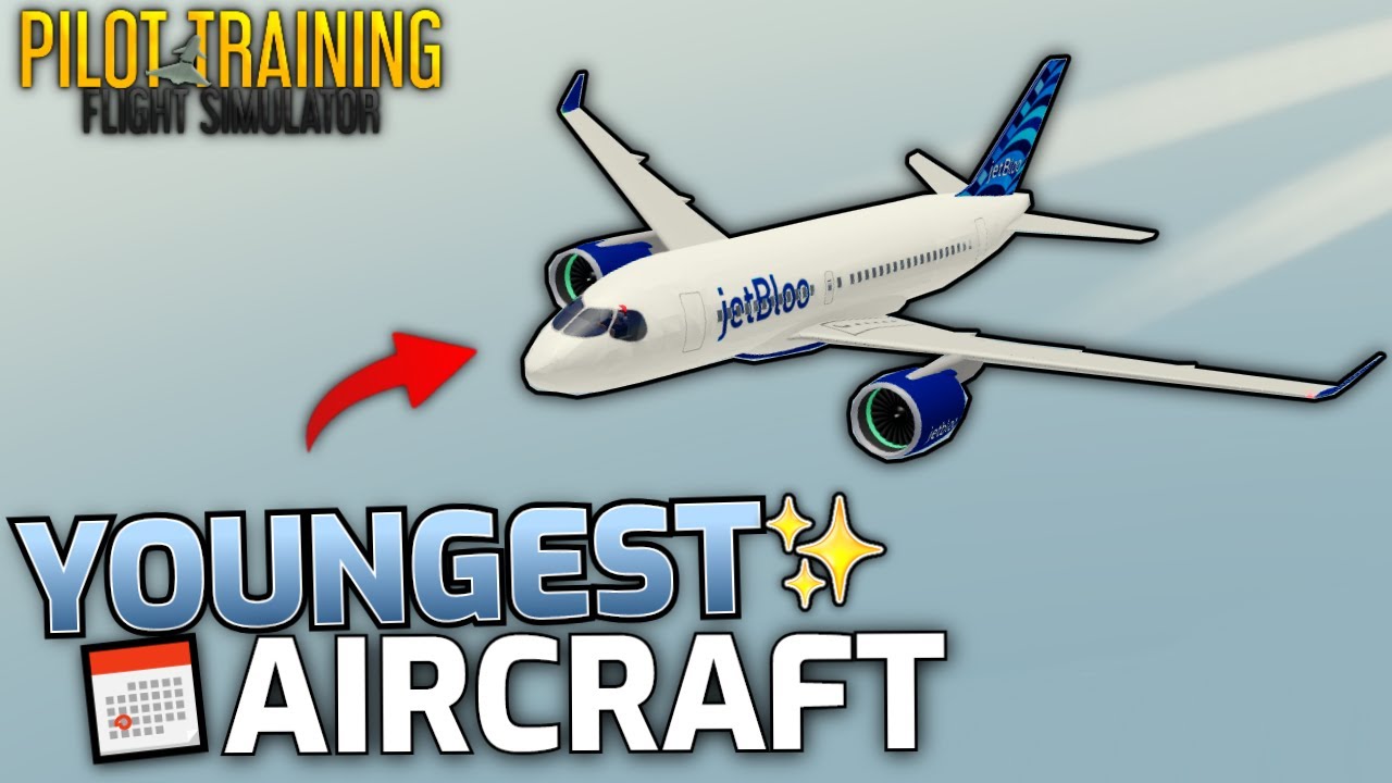 The YOUNGEST Aircraft In PTFS! 🛫