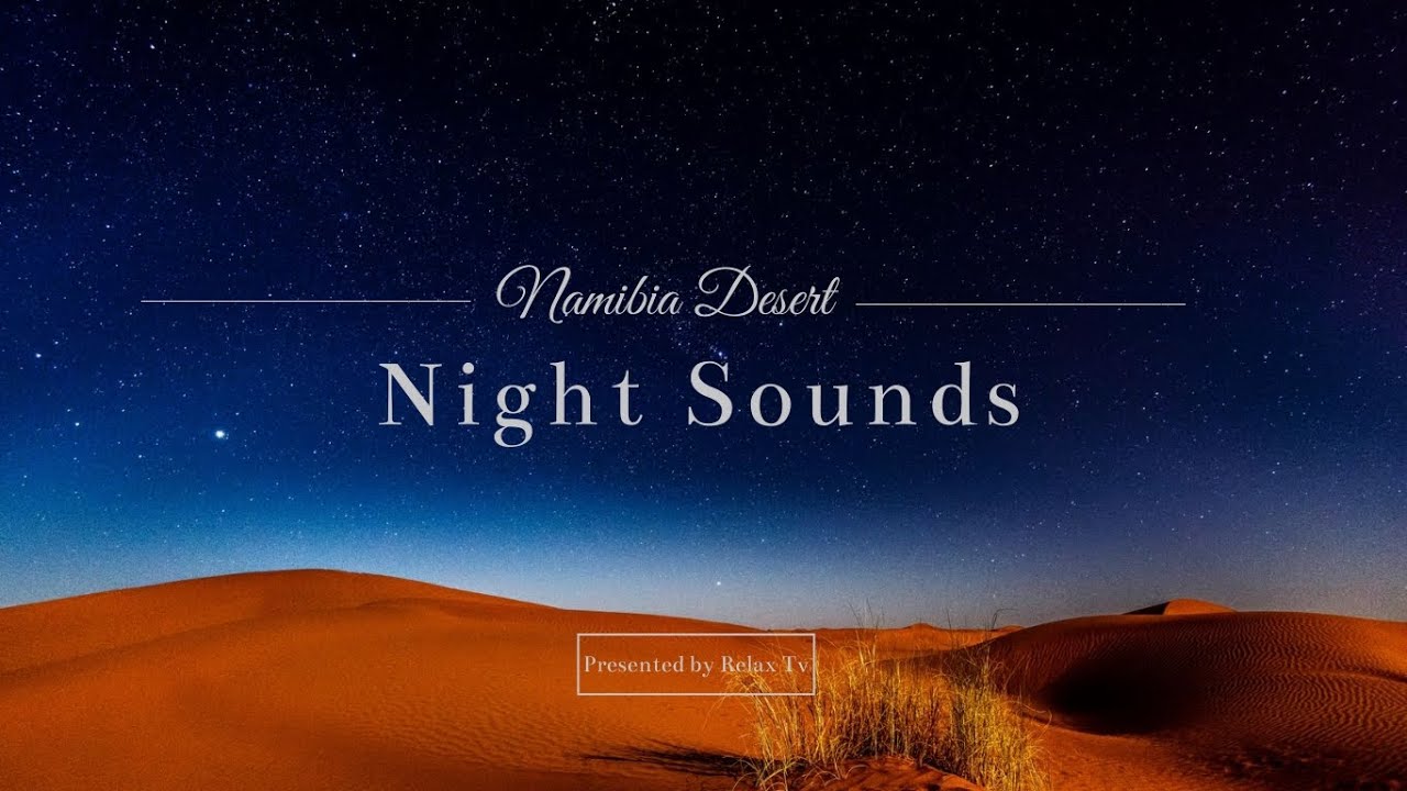 Kalahari Desert sound at Night , Magic Experience / Meditation 🌕💫⭐