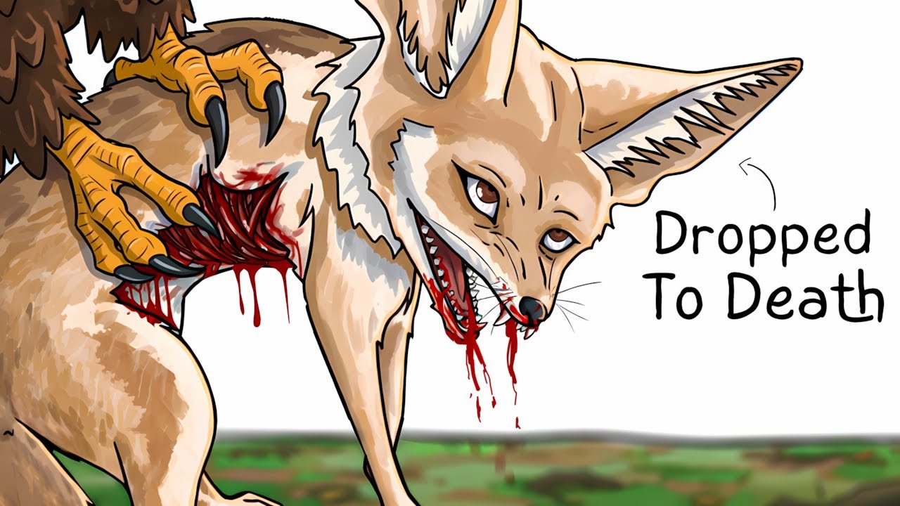 Dlaczego urodzenie się jako fenek jest do bani