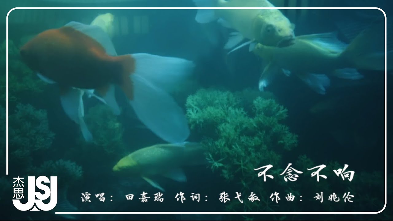 田嘉瑞《不念不響》影視劇【大夢歸離】卓翼宸·人物曲 Official Music Video