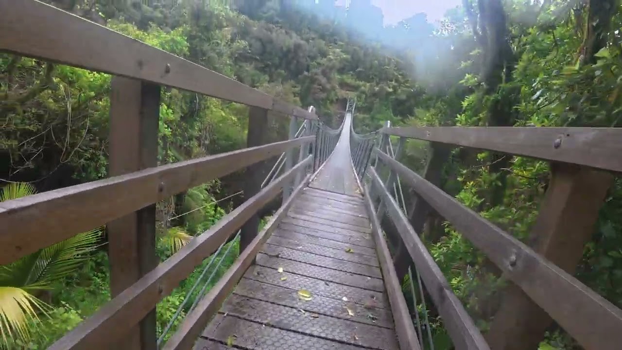 Heaphy Track 