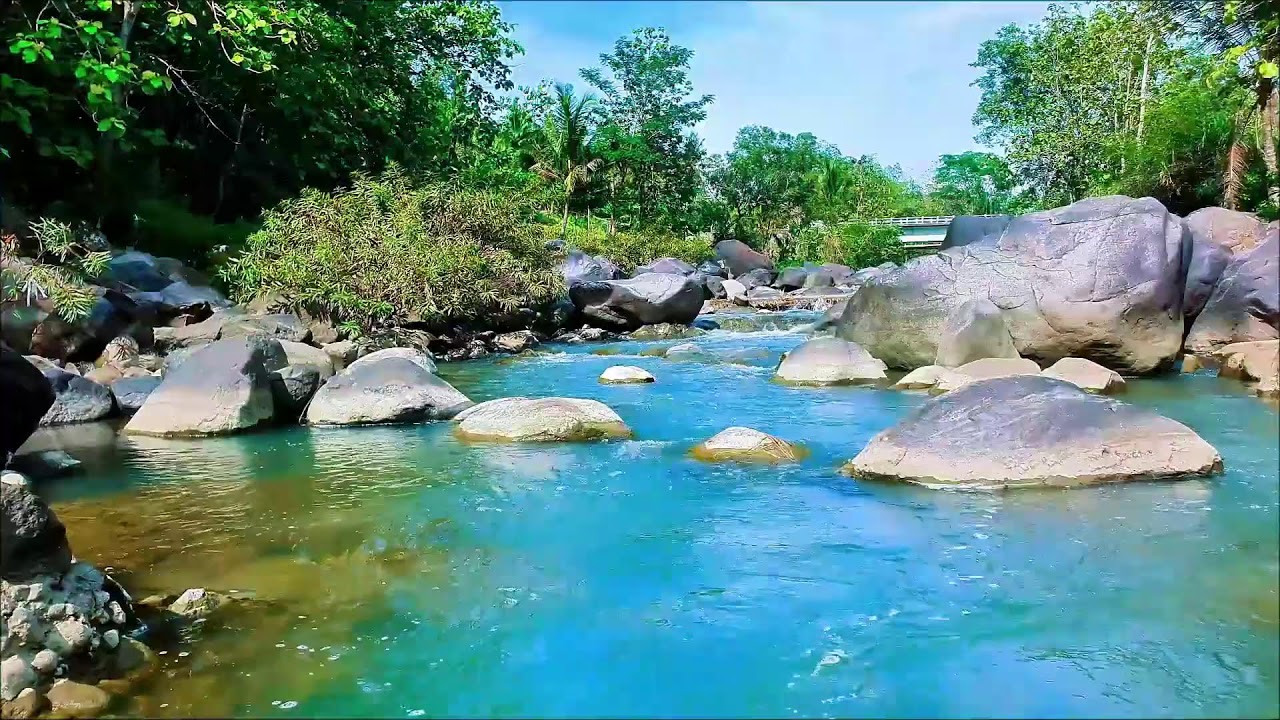 24/7 Tranquil River Flow – Relaxing Water Sounds & Green Noise for Better Sleep & Calm