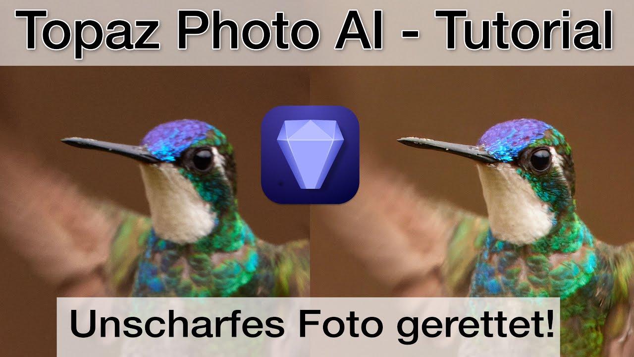 Photo AI 2 REVIEW - Hat Topaz mit DXO aufgeholt? Vergleich mit DXO und Lightroom