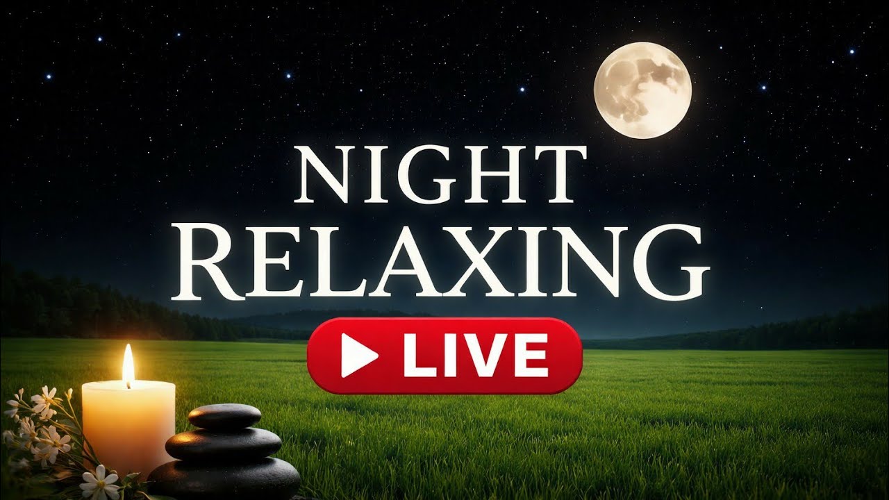 🌙 Night Serenity #Shorts #RelaxingNature #StarlitSky