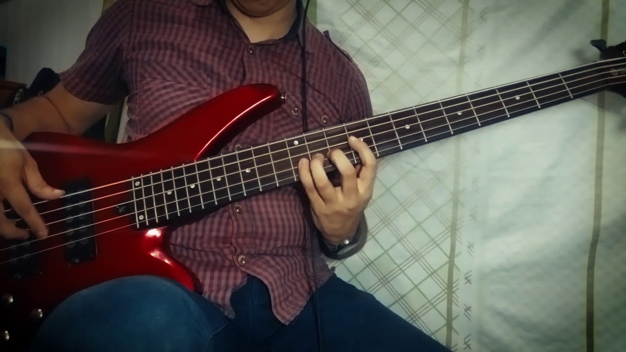 Los Pasteles Verdes - Hipocresía (Bass Cover)