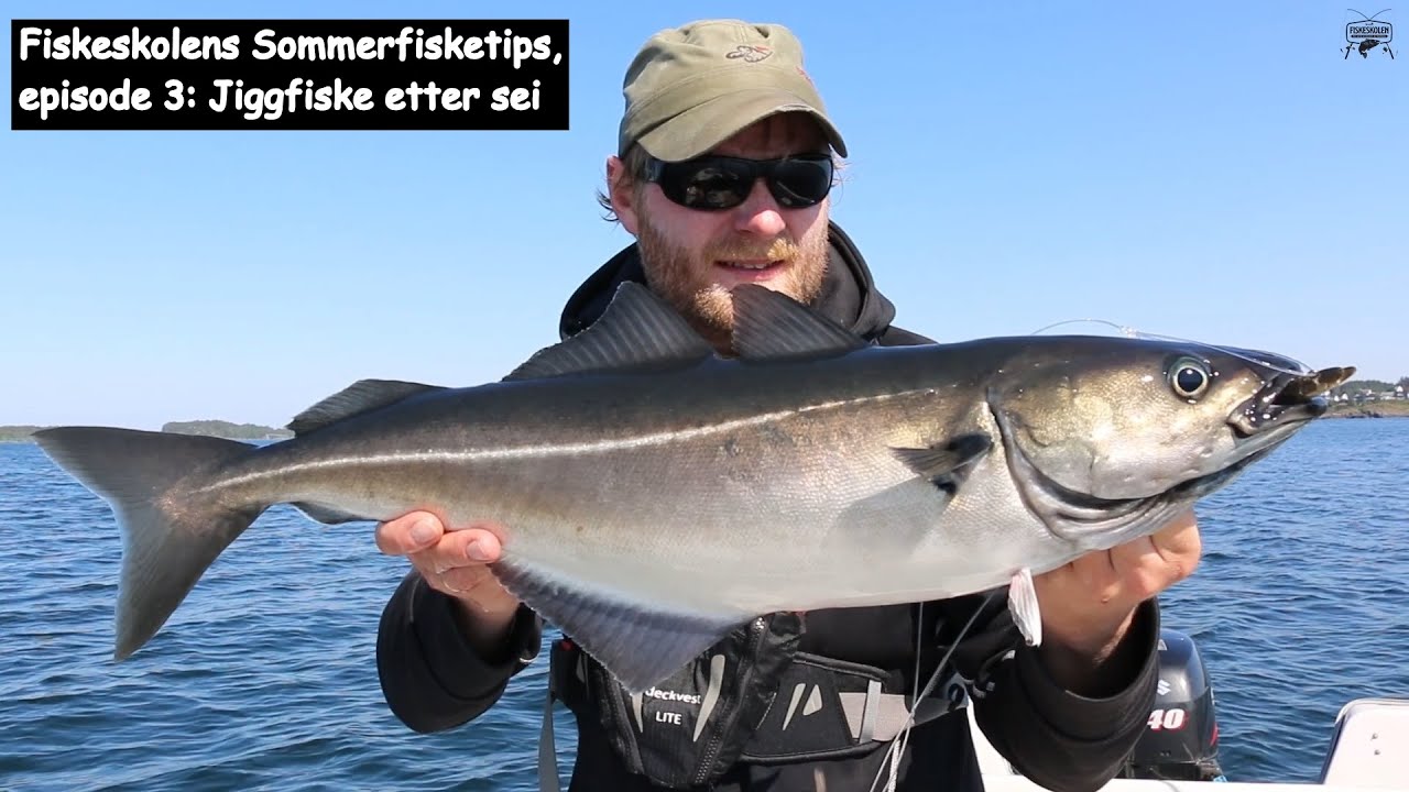 Fiskeskolens Sommerfisketips, episode 3: Jiggfiske etter sei