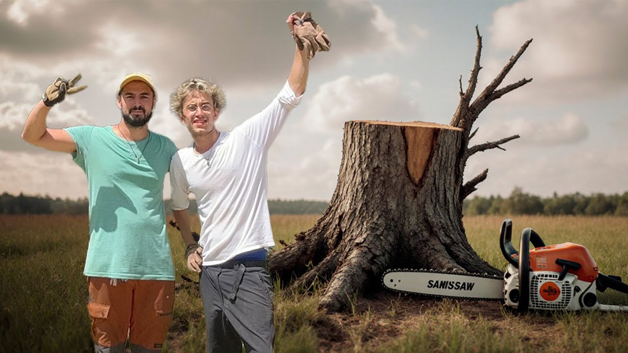 MINIVLOG CIRC: Tallem un arbre?