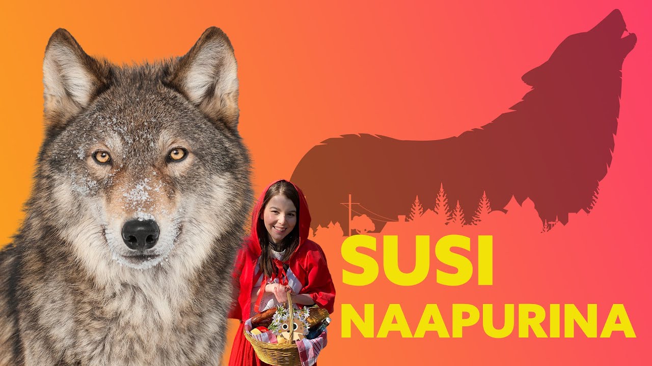 Vaeltavat SUDET – Miksi susi tulee PIHAAN?!
