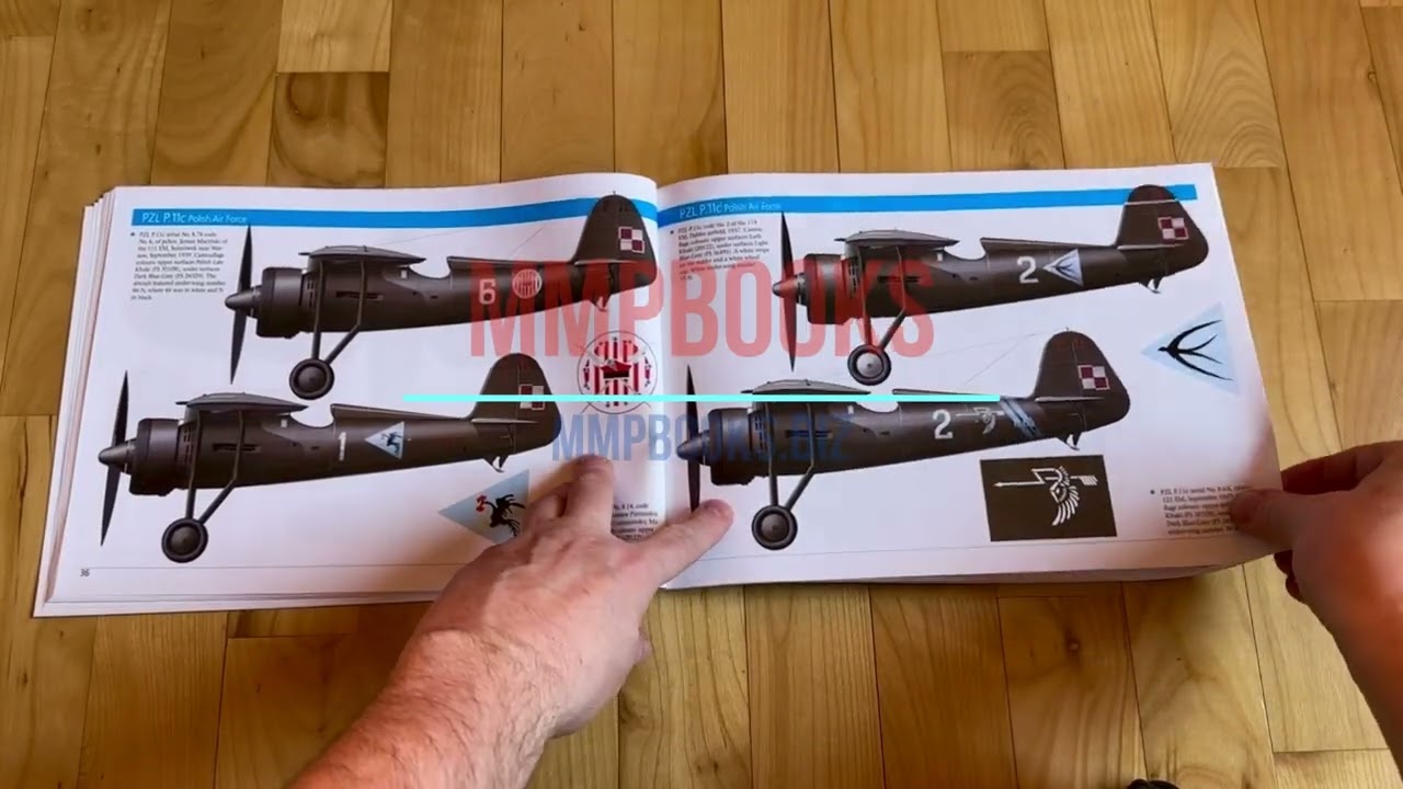 PZL Combat Fighters book preview