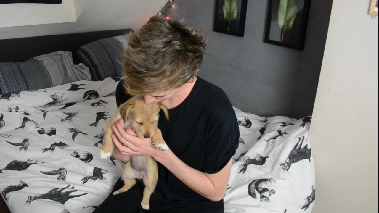 MEET MY NEW PUPPY || MARK FERRIS