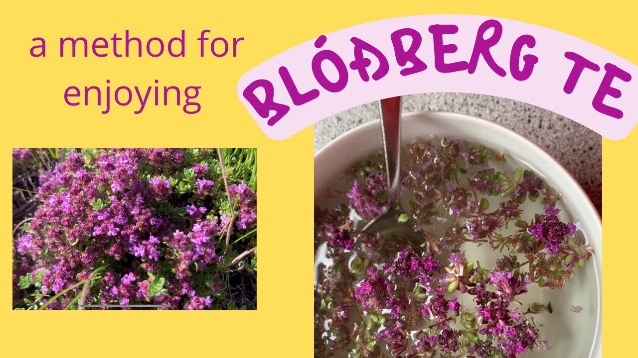 a method to enjoy Bl&oacute;&eth;berg Te
