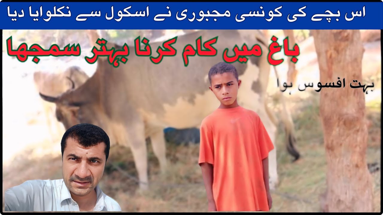 Balochi Traditional Food Vegetable | Balochi Traditional | Daily Routine 🔥Kech e Dastan