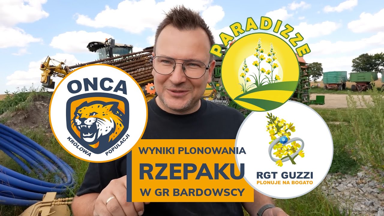 Jest co zbierać! Mamy wyniki plonowania rzepak&oacute;w ONCA, GUZZI i PARADIZZE w GR Bardowscy