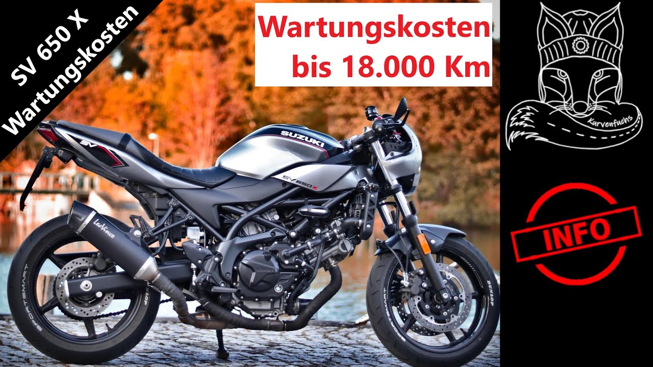 Suzuki SV 650 (X) * Wartung * Kosten