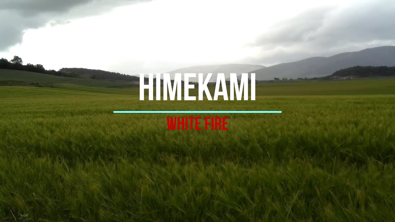 Himekami - White Fire