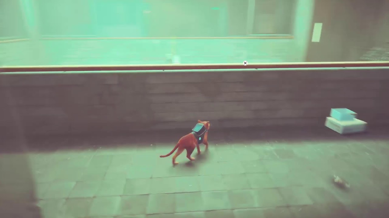 STRAY