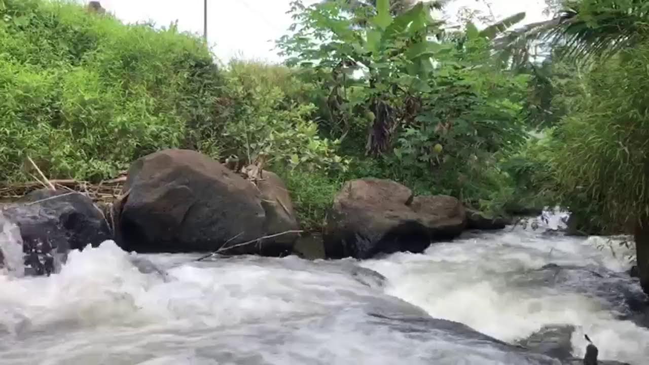 Live River Sounds 🌊 Relaxing Nature ASMR for Sleep, Study & Stress Relief (No Music, Real Water Flow