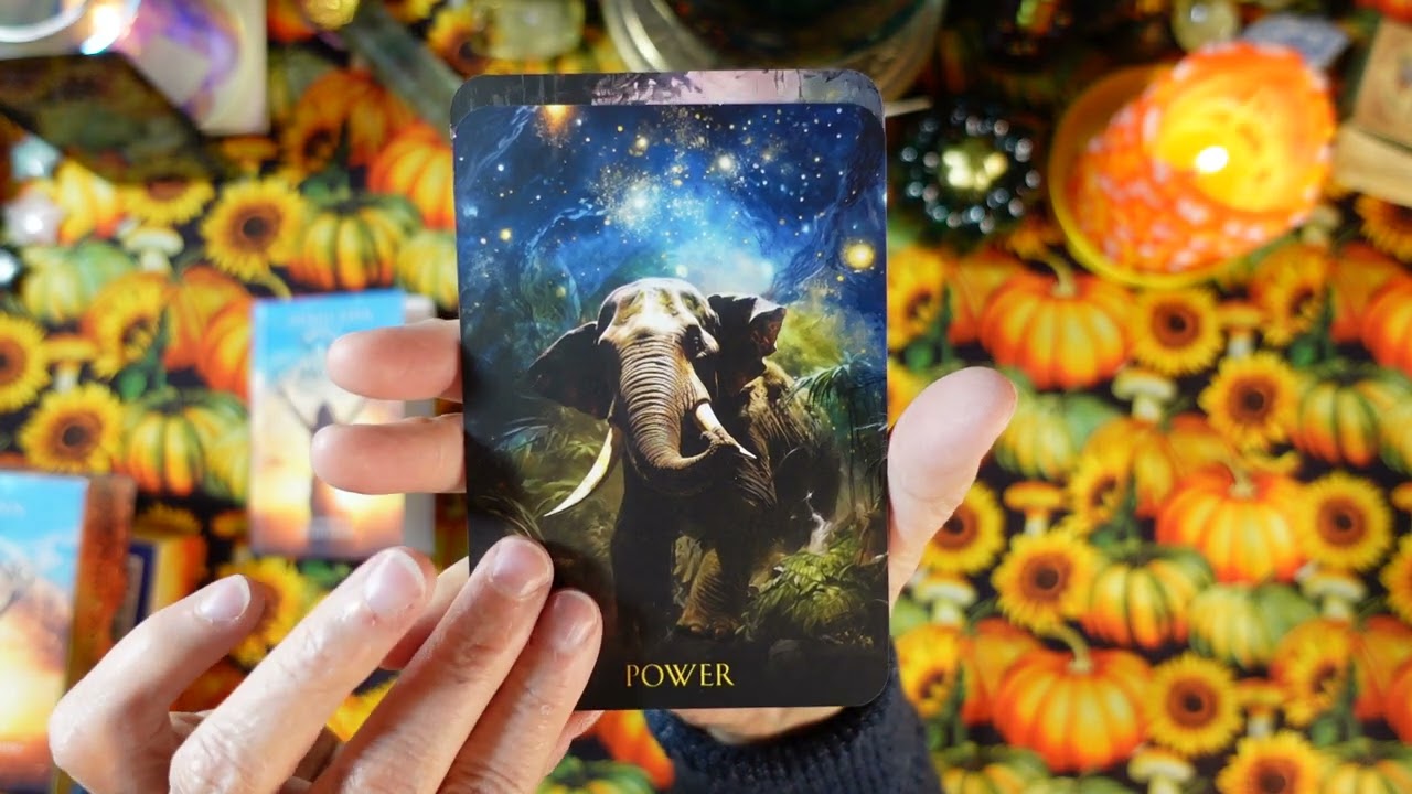 TO BE RELEASED 12/24 - SOUL COACHING ORACLE CARDS -Review- DISCOVER WHAT YOUR SOUL WANTS YOU TO KNOW
