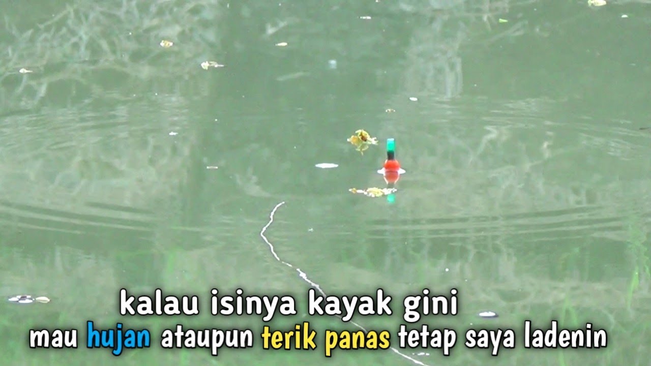 Ikan nila bengawan solo memang luar biasa