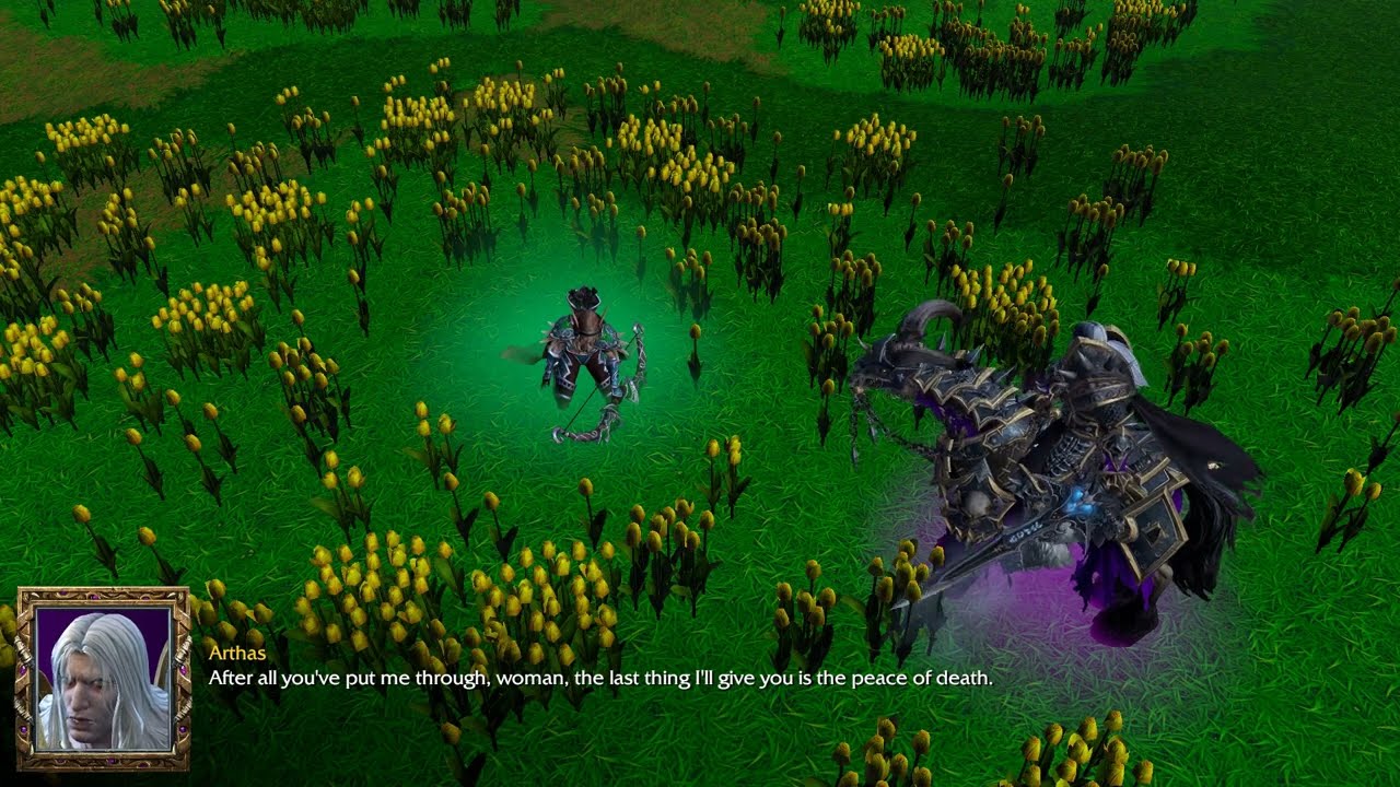Arthas KIlls Sylvanas