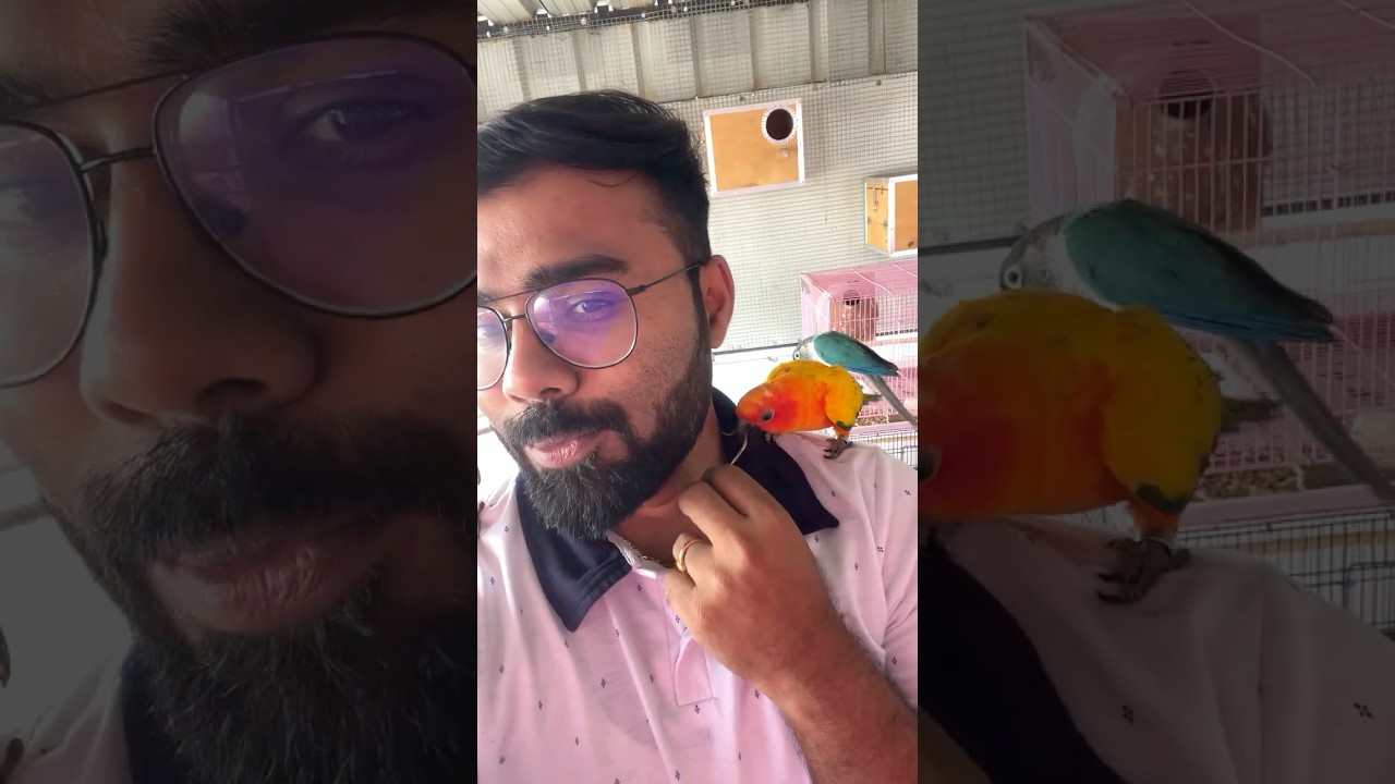 Birdsoda Morning Start ☀️ Clean & Feed Routine Daily!