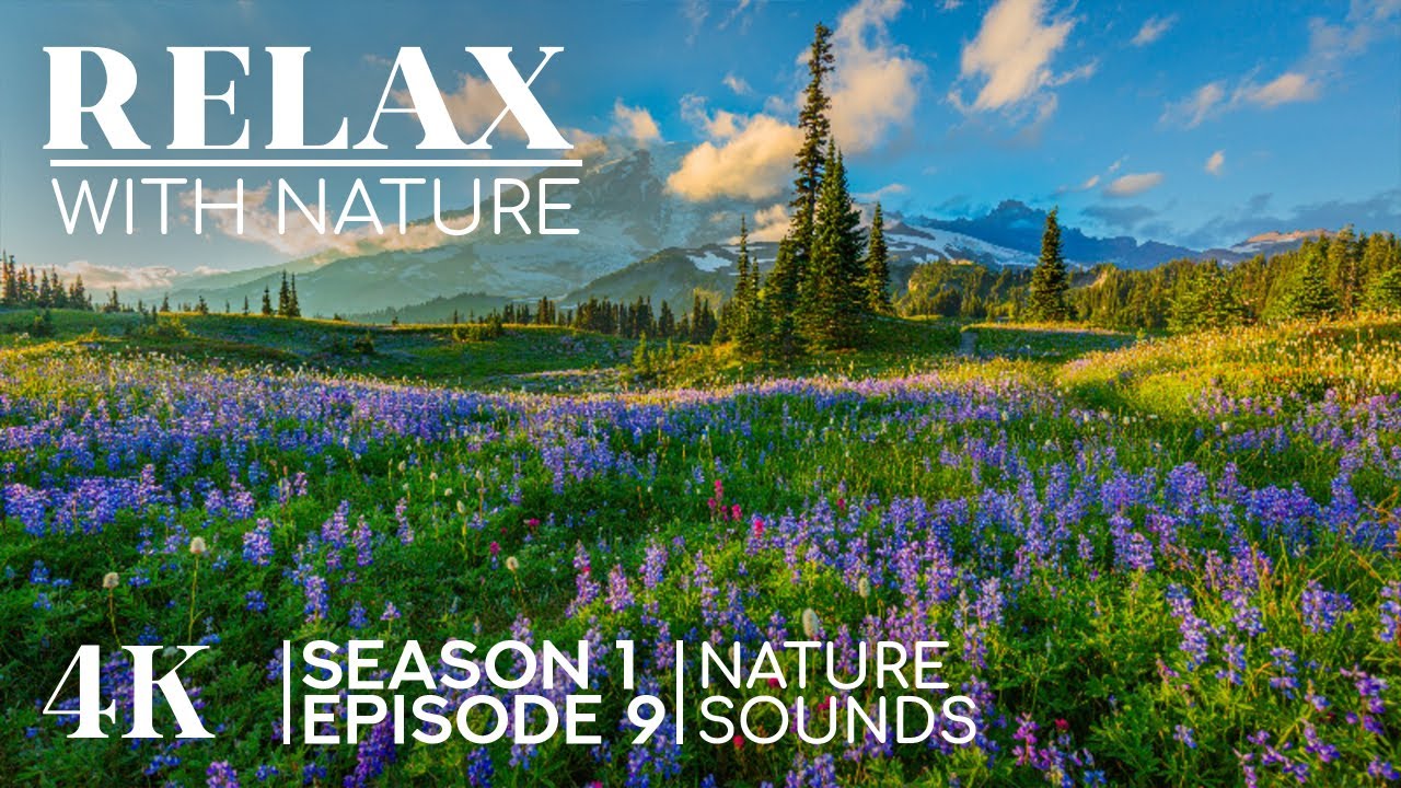 World Nature in 4K | Stunning Landscapes + Ambient Sounds for Peace & Quiet | Relax with Nature #9