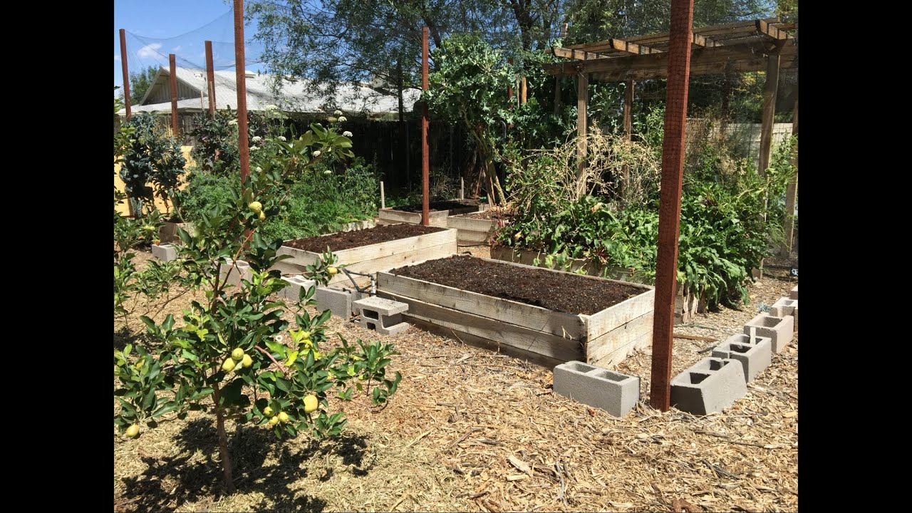 How to Plant a Raised Bed Garden